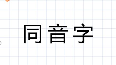 中 同音字